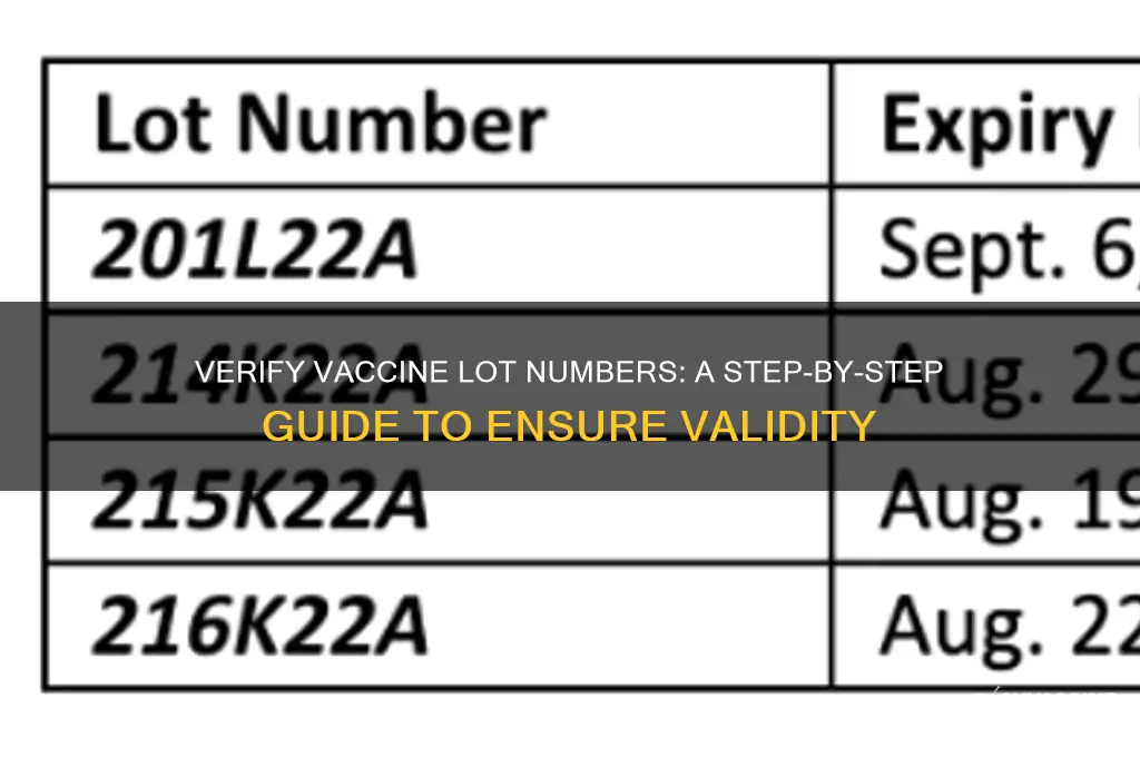 how to check the validity of an vaccine lot numbers