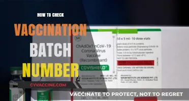 Verify Your Vaccine Batch Number: A Quick and Easy Guide