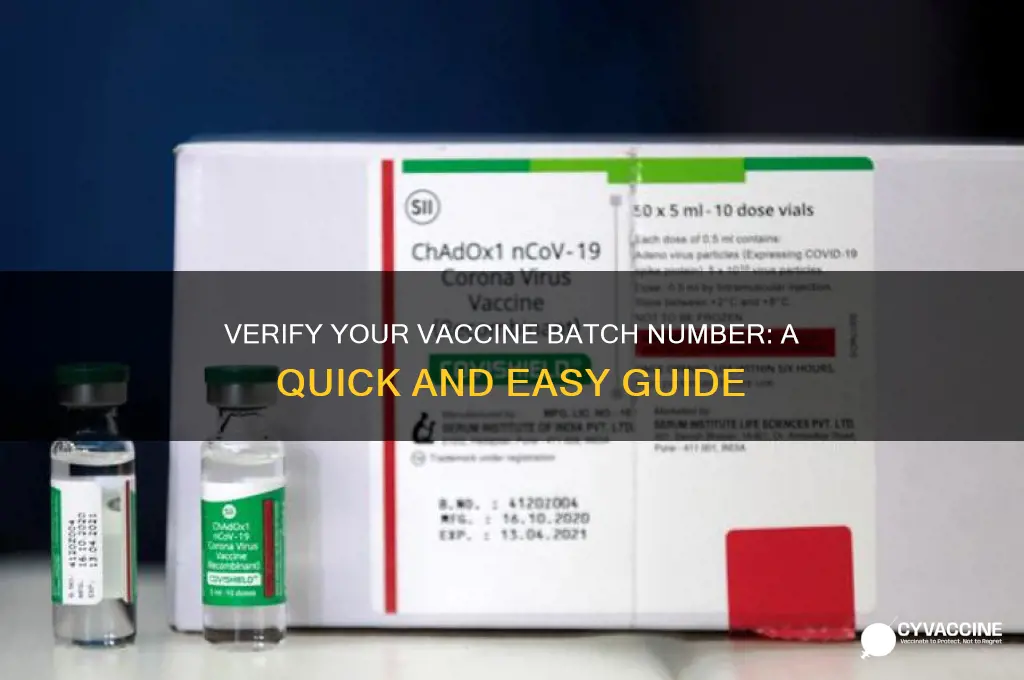 how to check vaccination batch number
