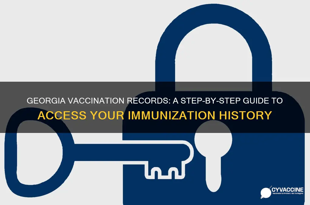 how to check vaccination records georgia