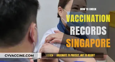 How to Access and Verify Your Vaccination Records in Singapore