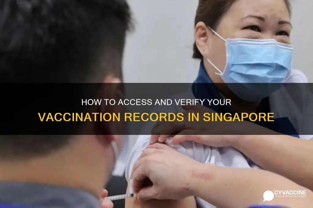 how to check vaccination records singapore