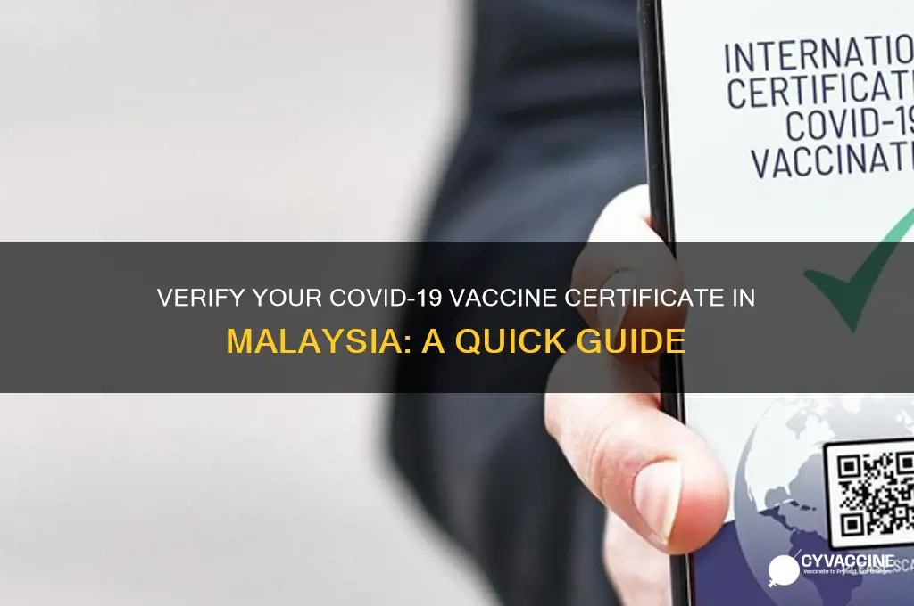how to check vaccine certificate malaysia