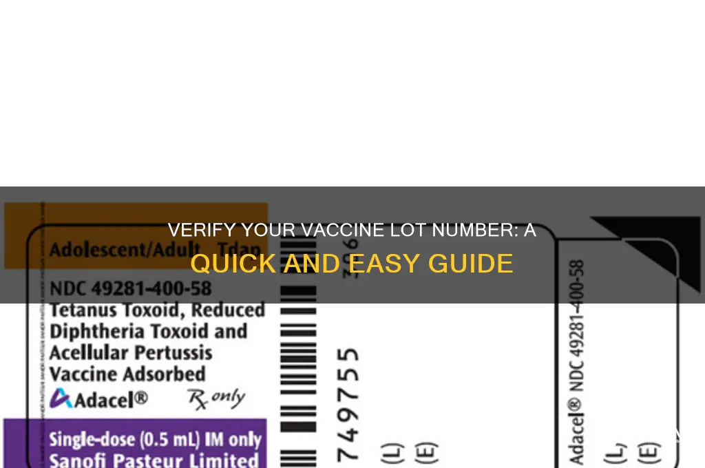 how to check vaccine lot number