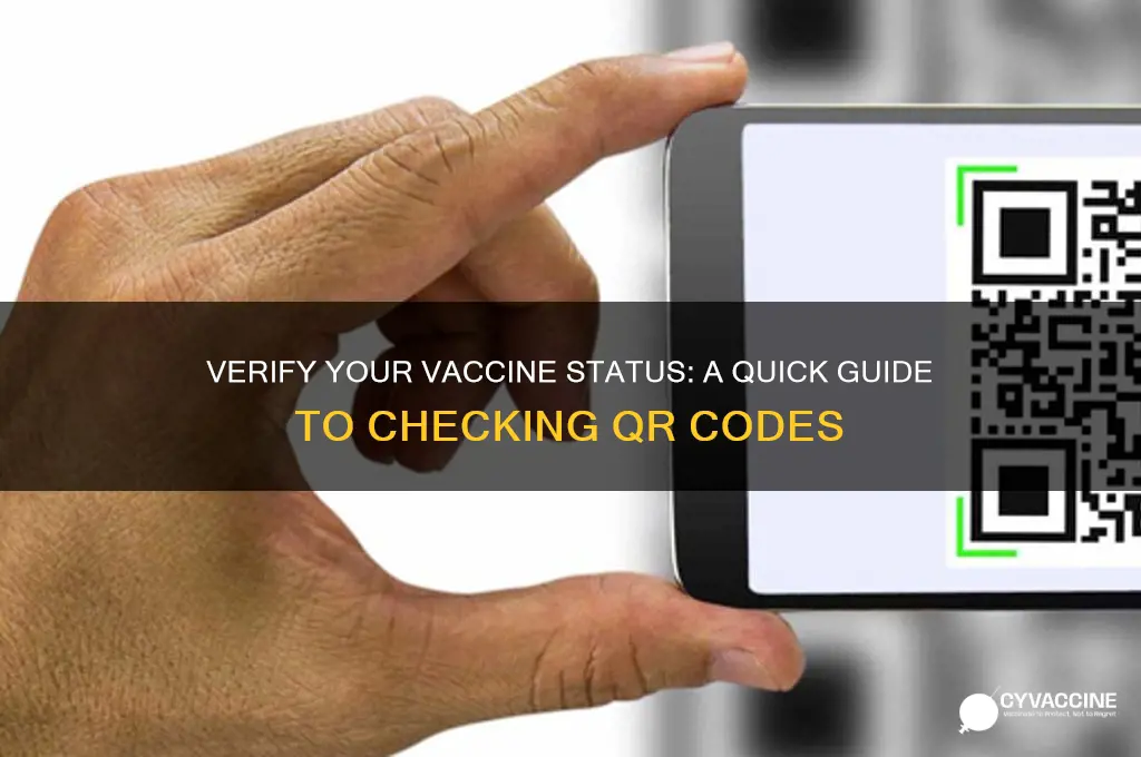 how to check vaccine qr code