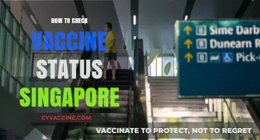 How to Check Your Vaccine Status in Singapore: A Quick Guide
