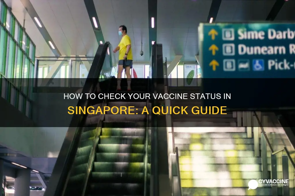 how to check vaccine status singapore