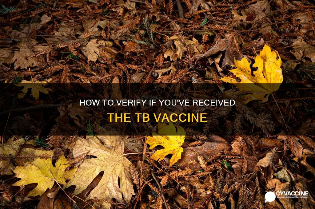 how to check whether i have tb vaccine