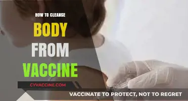 Natural Detox Strategies to Support Post-Vaccination Body Cleansing