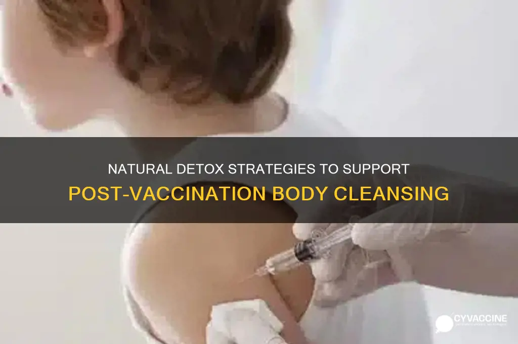 how to cleanse body from vaccine
