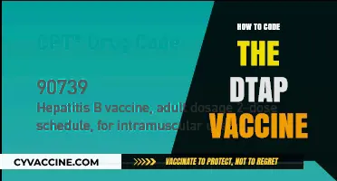 Mastering DTap Vaccine Coding: A Comprehensive Guide for Developers