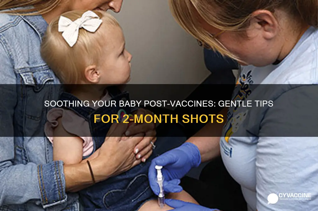 how to comfort baby after 2 month vaccines