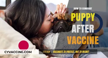 Soothing Your Puppy Post-Vaccination: Gentle Care Tips for Quick Recovery