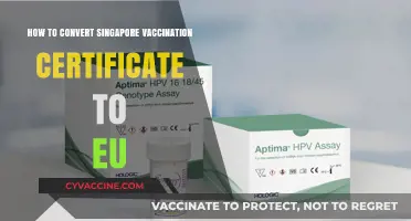 Convert Singapore Vaccination Certificate to EU: A Step-by-Step Guide