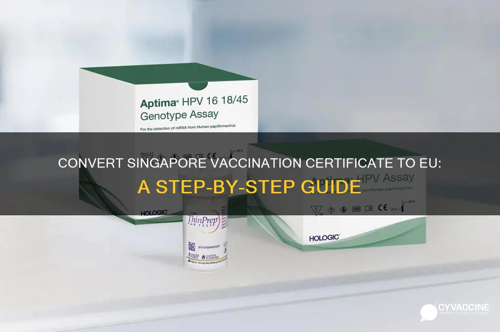 how to convert singapore vaccination certificate to eu