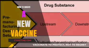 Innovative Steps to Develop and Launch a New Vaccine Safely