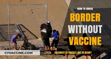 Traveling Across Borders: Unvaccinated Tips for Safe and Legal Entry