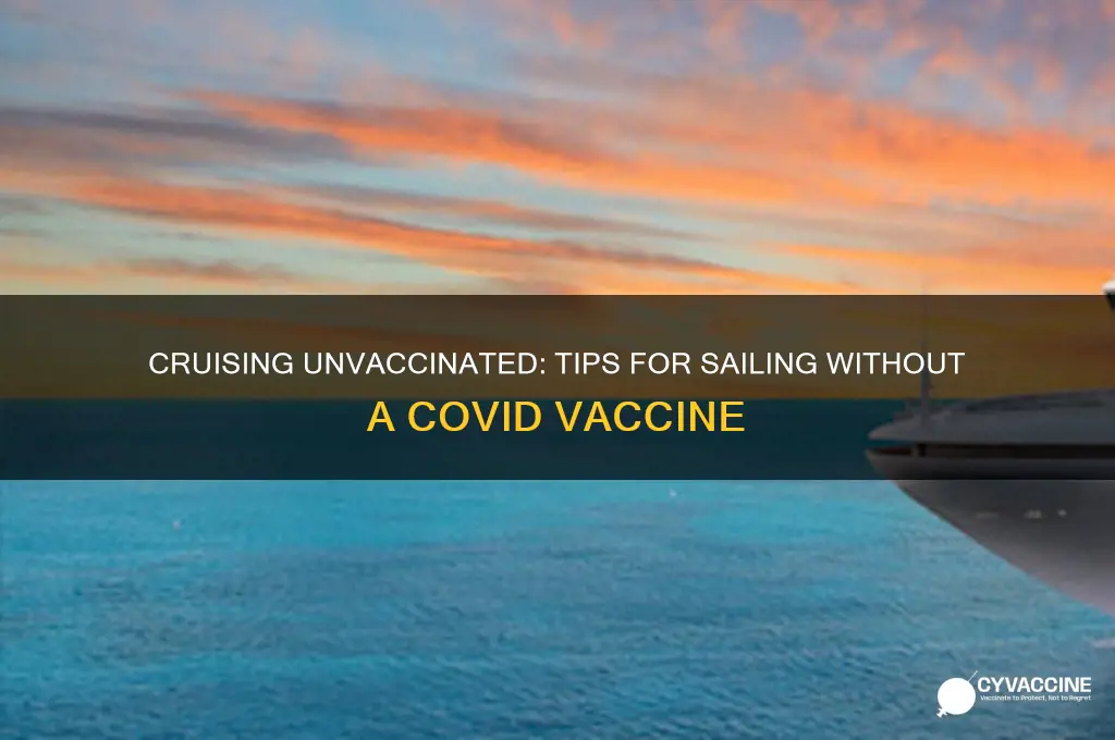 how to cruise without a vaccine