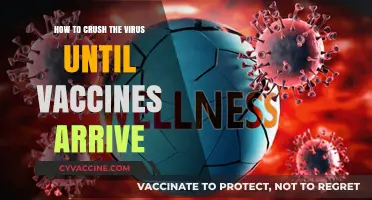 Crushing COVID-19: Proven Strategies to Stay Safe Until Vaccines Arrive