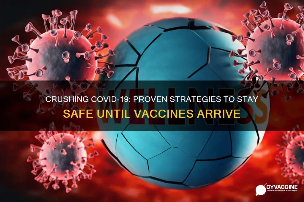 how to crush the virus until vaccines arrive