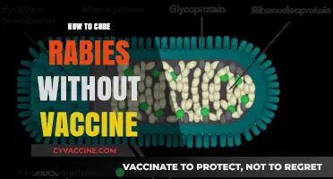 Natural Remedies and Emergency Steps to Treat Rabies Without Vaccination