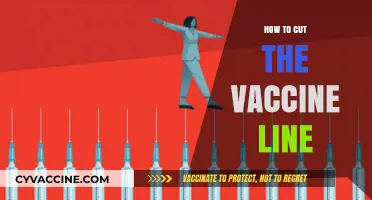 Ethical Concerns: Navigating Vaccine Distribution Without Cutting in Line