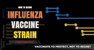 Strategic Selection: Choosing the Right Influenza Vaccine Strain Annually