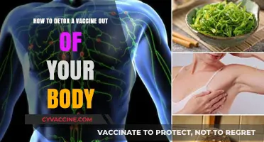 Natural Ways to Support Your Body After Vaccination: A Guide