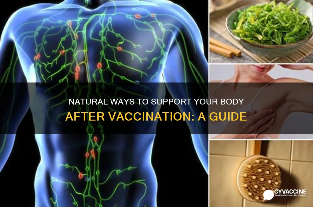 how to detox a vaccine out of your body