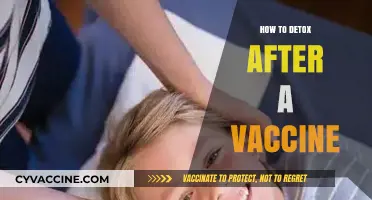 Post-Vaccine Detox: Gentle Strategies for Recovery and Wellness Support