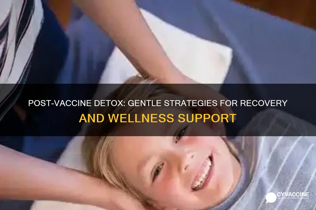 how to detox after a vaccine