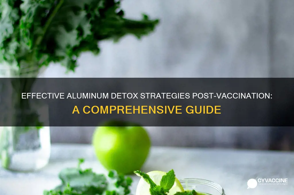 how to detox aluminum from vaccines