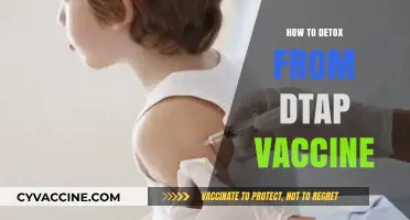 Effective Strategies for Detoxing After Receiving the DTap Vaccine