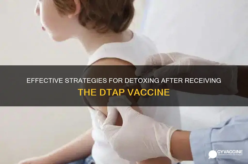how to detox from dtap vaccine