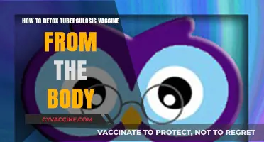 Effective Ways to Naturally Detoxify After Tuberculosis Vaccination