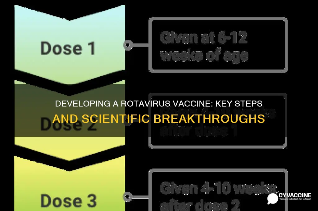 how to develop a rotavirus vaccine