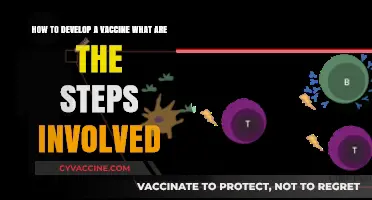 Vaccine Development Process: Key Steps from Research to Distribution