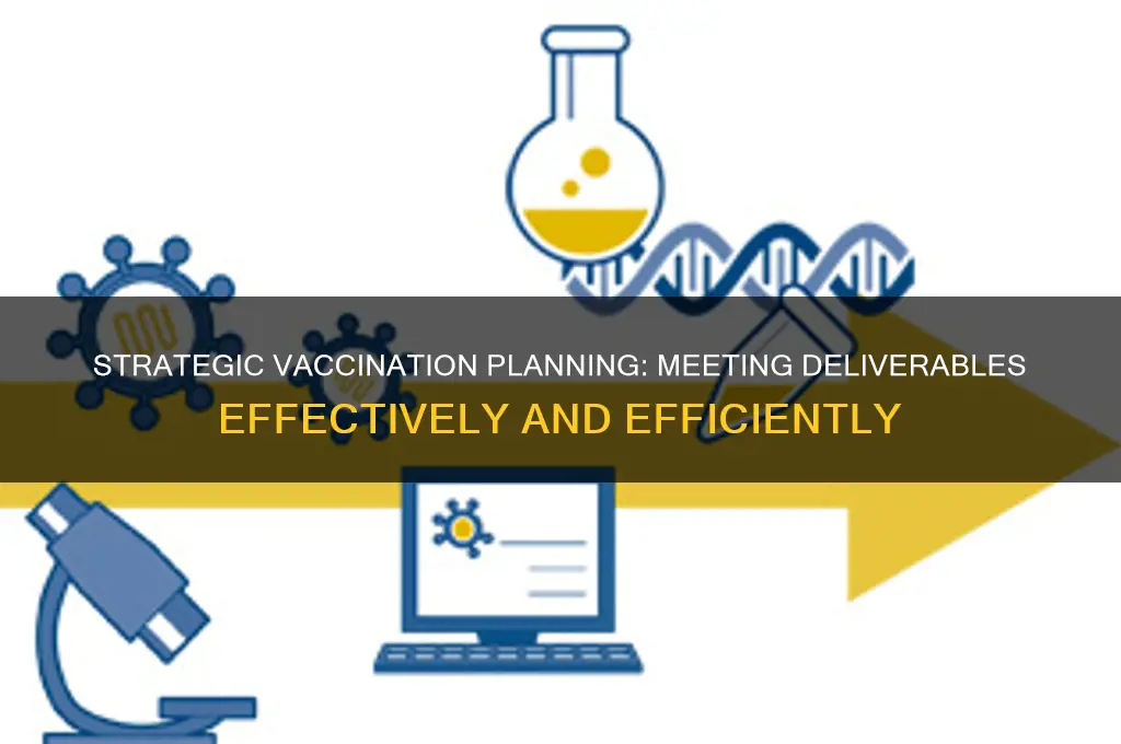 how to develop vaccination plan to meed deliverables