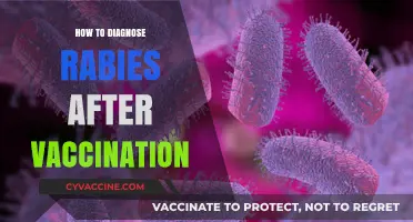 Diagnosing Rabies Post-Vaccination: Key Symptoms and Testing Protocols