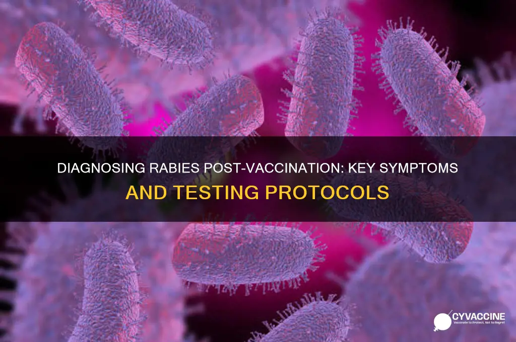 how to diagnose rabies after vaccination