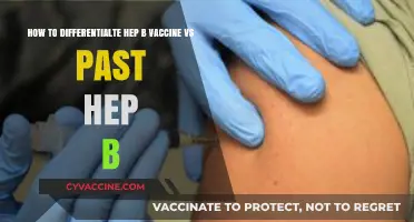 Hepatitis B Vaccine vs. Past Infection: Key Differences Explained
