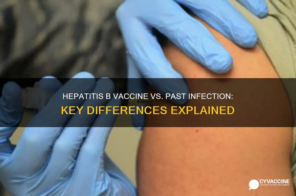 how to differentialte hep b vaccine vs past hep b