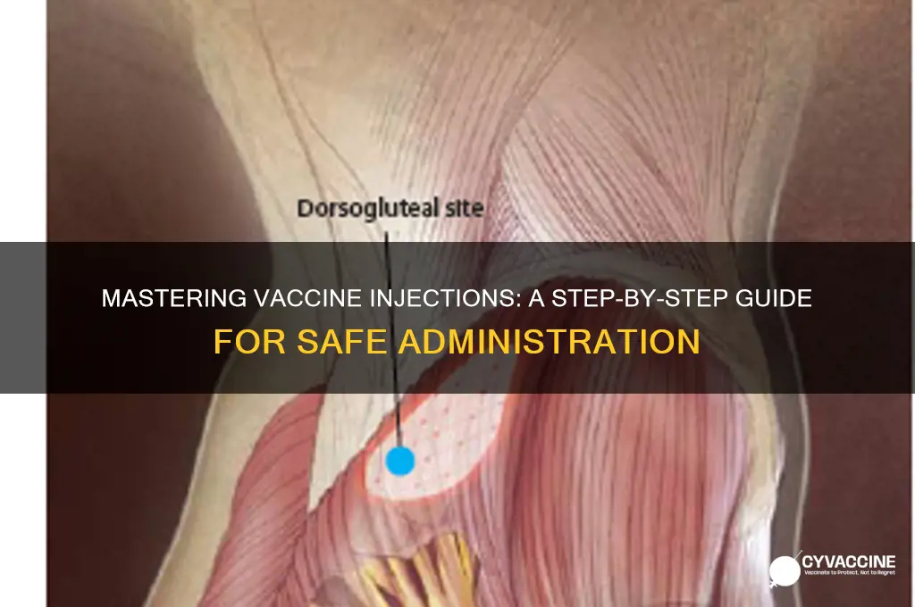 how to do a vaccine injection