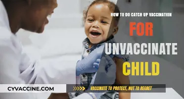 Catch-Up Vaccination Guide: Safely Protecting Your Unvaccinated Child's Health