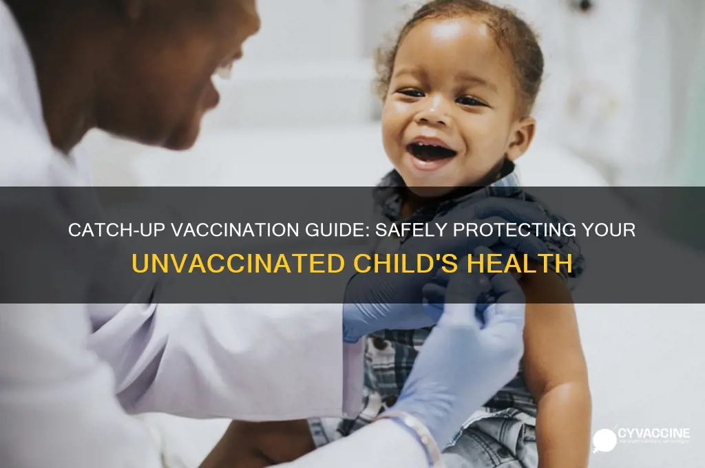 how to do catch up vaccination for unvaccinated child