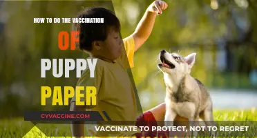 Complete Guide to Safely Vaccinating Your Puppy with Paper Records