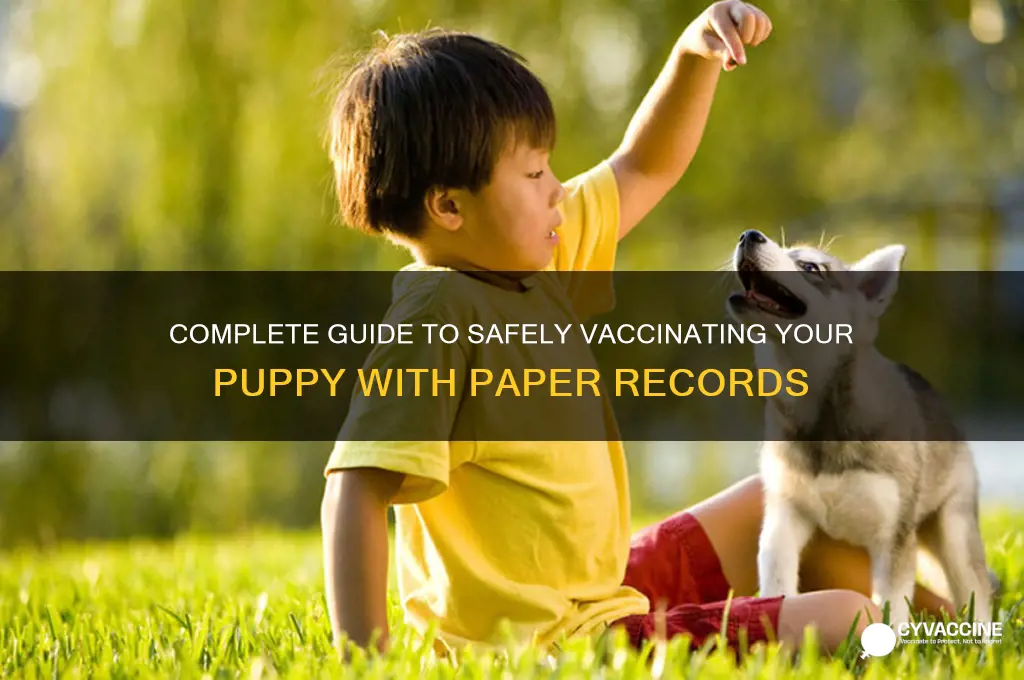 how to do the vaccination of puppy paper