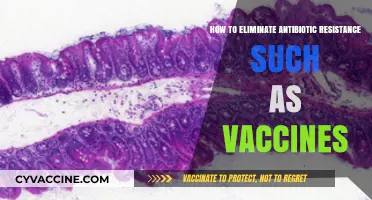 Combating Antibiotic Resistance: Vaccines and Innovative Strategies to Save Lives