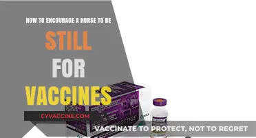 Calm and Steady: Tips for Keeping Horses Still During Vaccinations