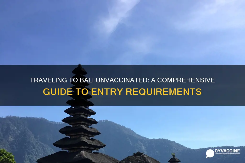 how to enter bali without vaccine
